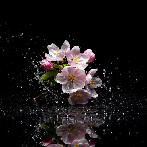 Flor de Manzano