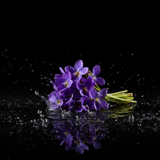 Violeta